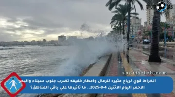 انخراط قوي لرياح مثيرة للرمال وأمطار خفيفة تضرب جنوب سيناء والبحر الأحمر اليوم الاثنين 4-8-2025.. ما تأثيرها على باقي المناطق؟
